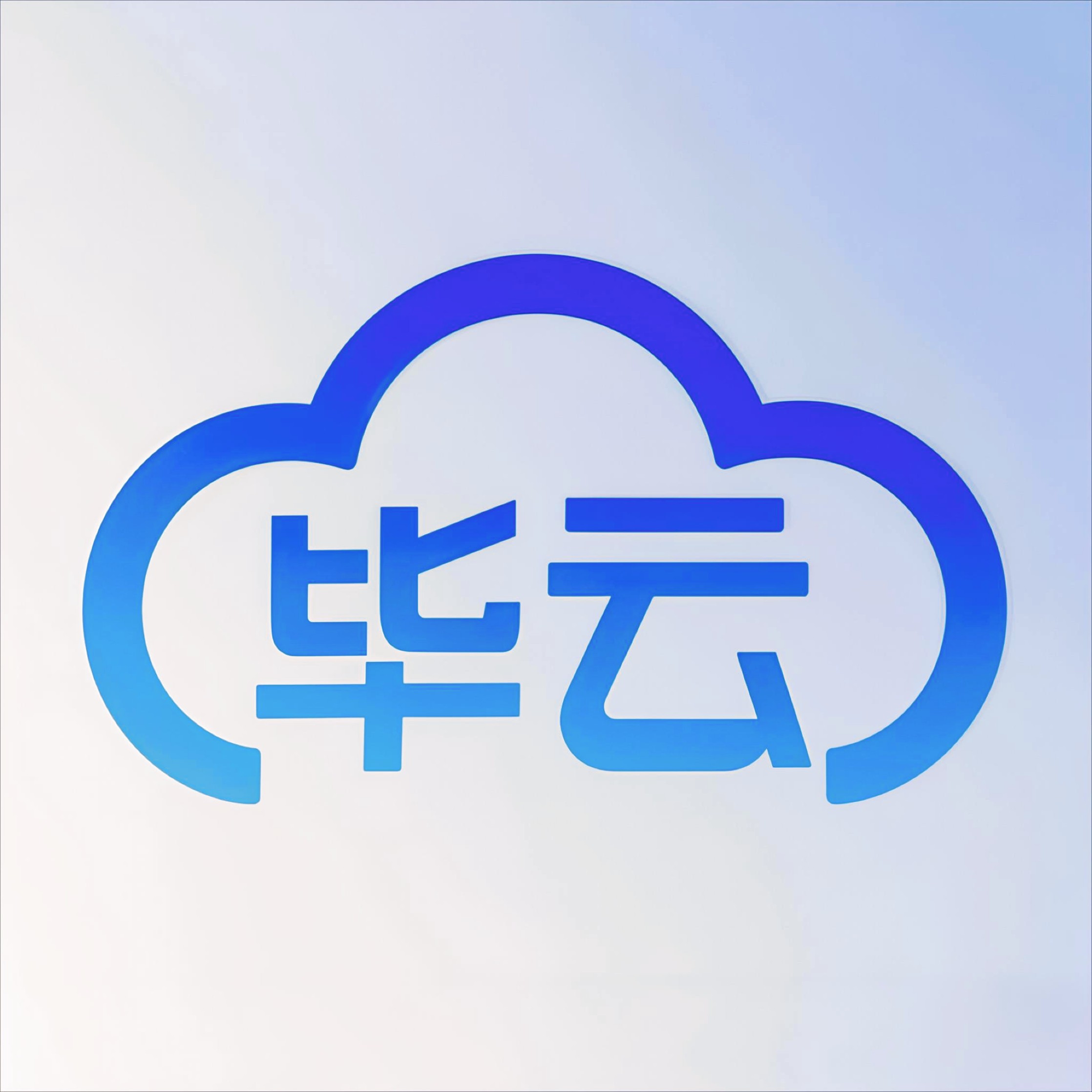 毕云数据
